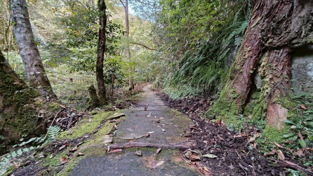 常清滝までの道